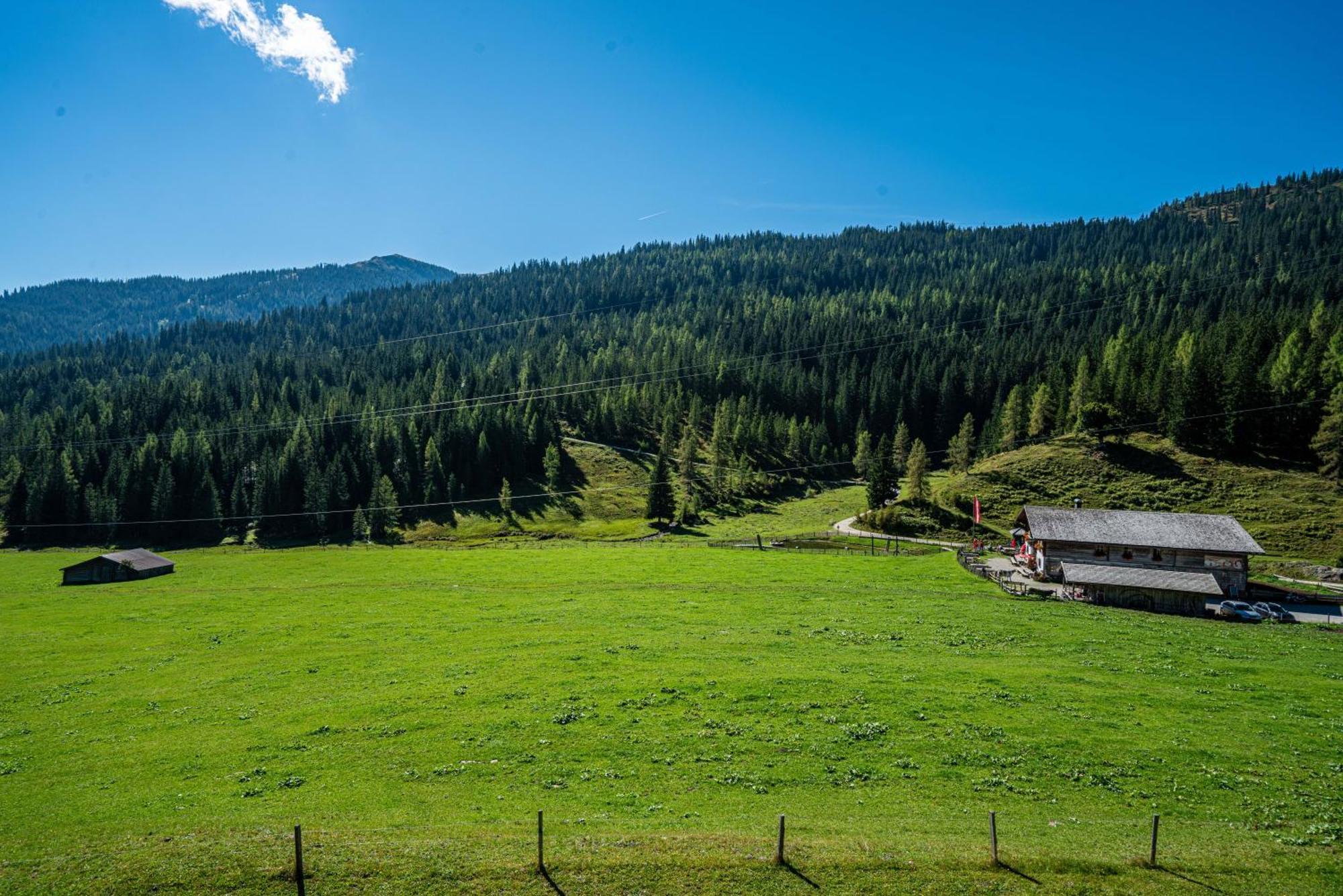 Hotel Mittereggalm Mühlbach am Hochkönig Exteriér fotografie